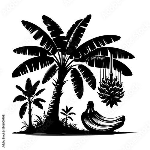 Black and white illustration of banana trees and fruit
