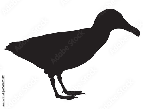 ALBATROSS BIRD SILHOUETTE