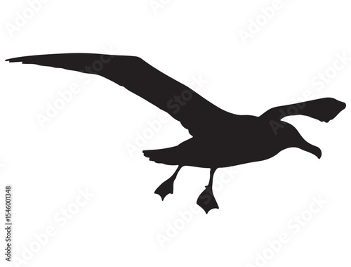 ALBATROSS BIRD SILHOUETTE