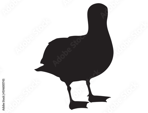 ALBATROSS BIRD SILHOUETTE