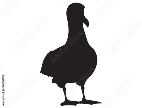 ALBATROSS BIRD SILHOUETTE