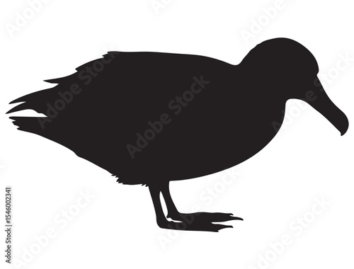 ALBATROSS BIRD SILHOUETTE