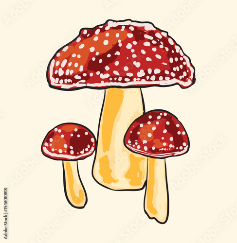 amanita muscaria mushroom illustration