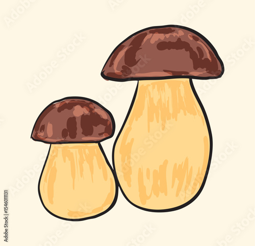 Porcini Mushroom Illustration