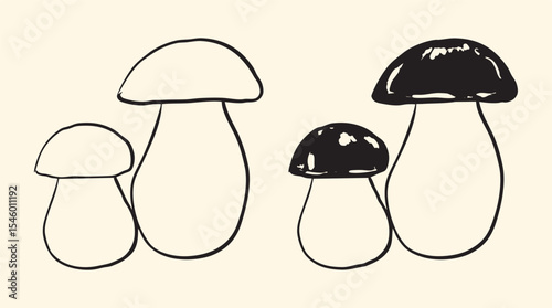 Vintage Black Porcini Mushroom Illustration