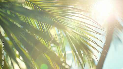 Beautiful blurred background with palm leaves and bright sunlight