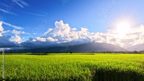Car side window view of rice fields terrace farming plantation at sunrise in East Longitudinal Valley,Taiwan