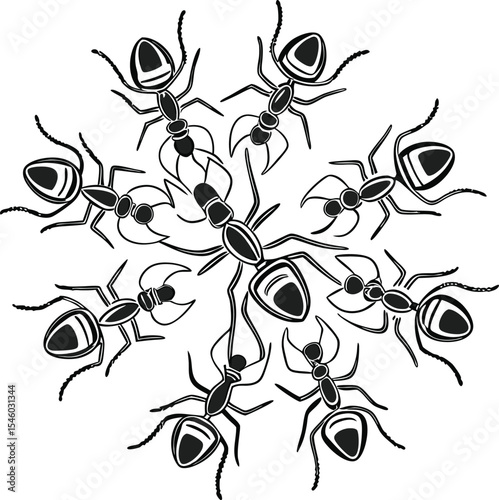 Black ants on a white background with an abstract, isolated nature vector