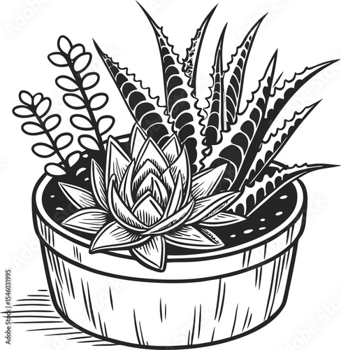 Vector illustration of a potted cactus, a green succulent houseplant perfect for decoration or a natural desert feel