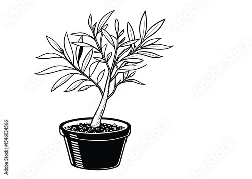 House plant in a pot doodle Silhouette, Potted plant vector illustration Art, black icon vector 