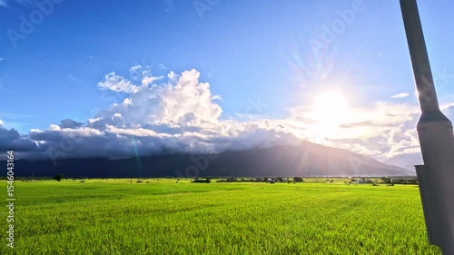 Car side window view of rice fields terrace farming plantation at sunrise in East Longitudinal Valley,Taiwan