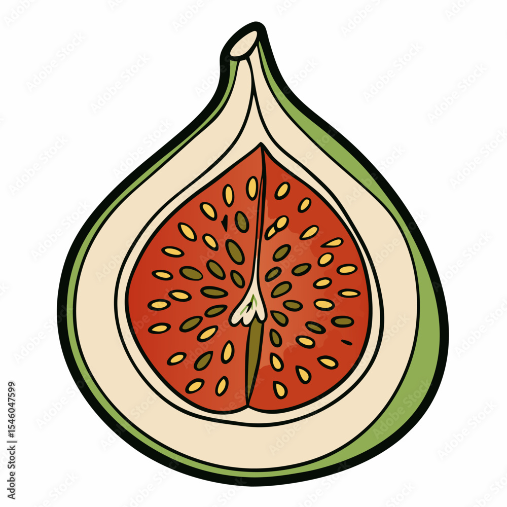 Line art illustration of a fig cut open to reveal seeds