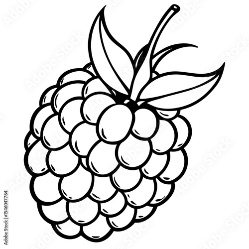 Single raspberry line drawing, simple berry illustration