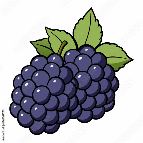 Outlined blackberry cluster illustration in flat style