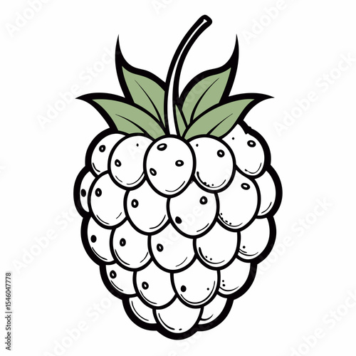Single raspberry line drawing simple fruit illustration