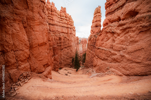 Bryce Canyon down to Wall street in Utah without people. Landscape. Travel destination photo