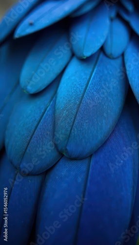 Close-up of vibrant blue bird feathers, soft texture , texture, nature