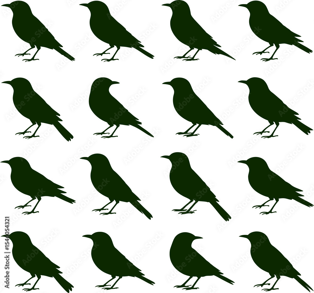 Obraz premium A repeating pattern of sixteen black bird silhouettes arranged in a grid on a white background