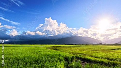 Car side window view of rice fields terrace farming plantation at sunrise in East Longitudinal Valley,Taiwan