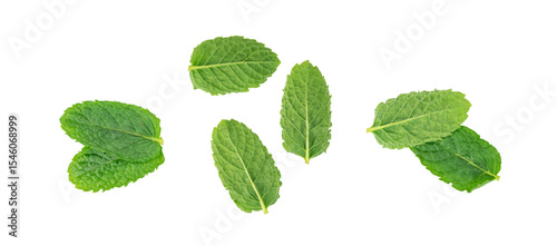 Mint leaves isolated. Peppermint leaf set, green fresh mint, spearmint menthol plant close up