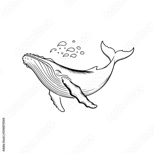 Humpback whale swimming gracefully in the ocean surrounded by bubbles