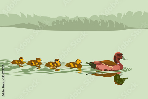 A duck with ducklings crossing a calm pond with reflections