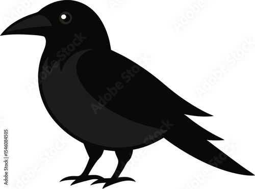 Closeup of a rook bird standing on the ground with natural background, black feathers, intelligent gaze, wild crow family member – perfect for wildlife, nature, or bird-themed designs.