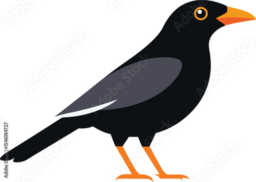Close-up of a mynah bird perched on a branch with white background – exotic tropical bird species, wildlife photography, colorful feathers, nature closeup, birdwatching concept