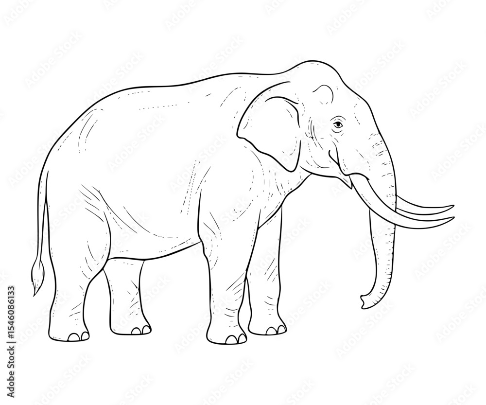 Fototapeta premium Stegomastodon Line Art