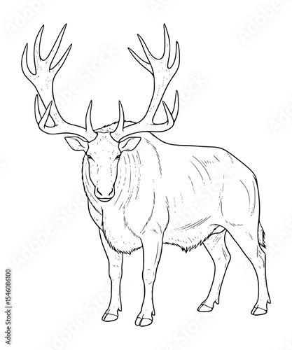 Megaloceros Line Art