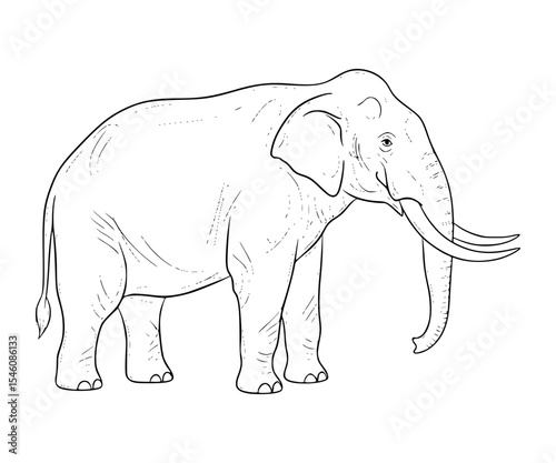 Stegomastodon Line Art
