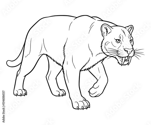 Smilodon Line Art