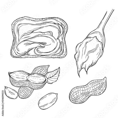 Peanut butter and ingredient for peanut butter toast sketch. Hand drawn collection. Vector illustration.
