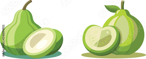 Bottle gourd calabash with smooth green vegetable vector art design set