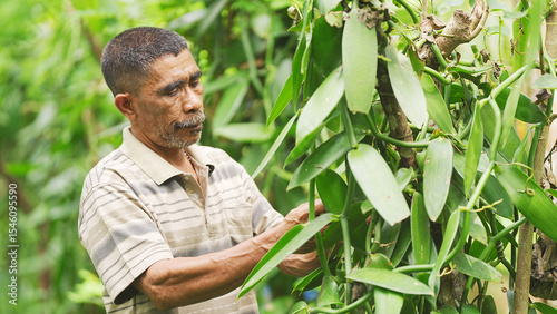 Vanilla farmer hand pollinating flower on plant or tree in farm or plantation, medium shot