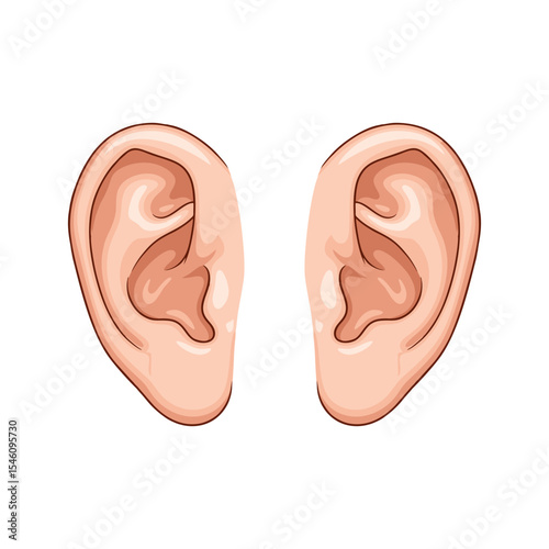 vector illustration of a pair of ears on a white background