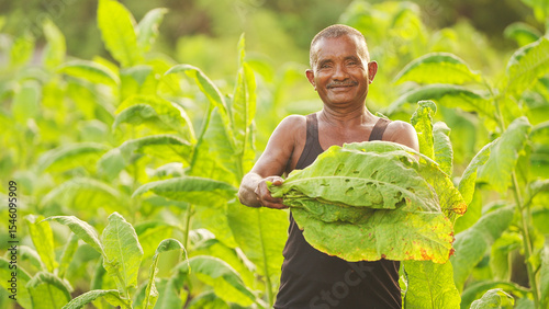Portrait of a smiling indonesian tobacco farmer in field, looking at the camera, harvested leaves in hands, plants in background