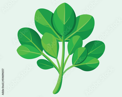 Fenugreek leaves with vibrant green color vector art design 