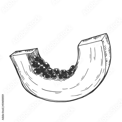 Papaya slices. Ink sketch isolated on white background. Hand drawn vector illustration. Retro style.