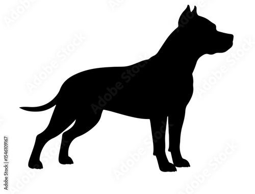 American Staffordshire terrierin silhollouette vector.