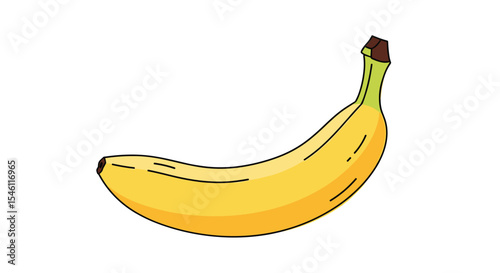 Understanding Banana Nutrition Facts Health Benefits and Potential Risks of This Tropical Fruit