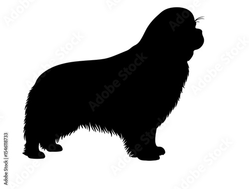 Εκτύπωση καμβά Japanese spaniel in silhollouette vector image.