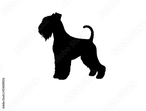 Keeshond in silhollouette vector image white baclground.