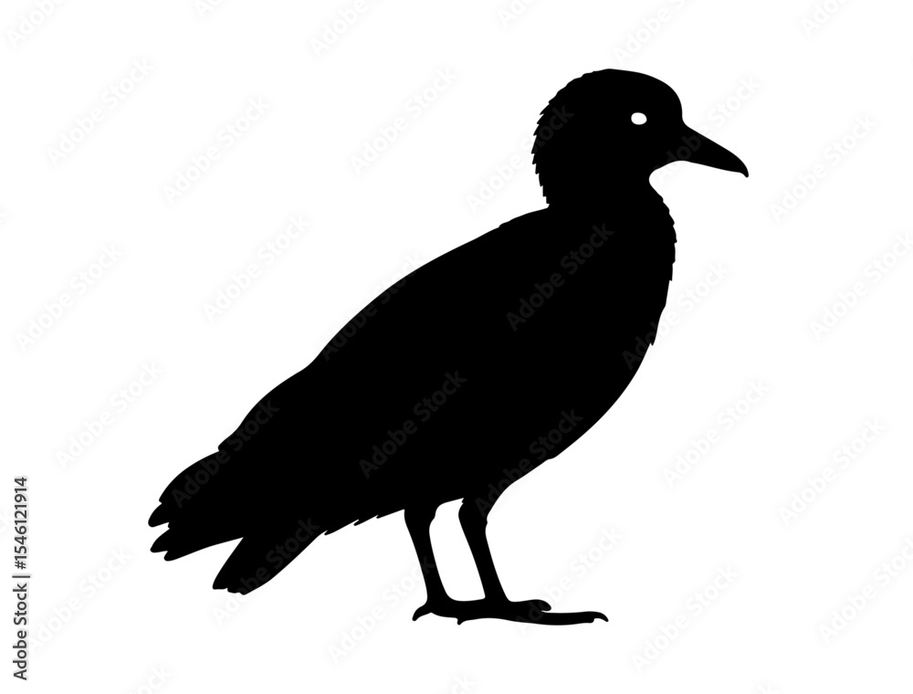 Obraz premium Vector image of Northern shoveler in silhollouette vector image on white background.