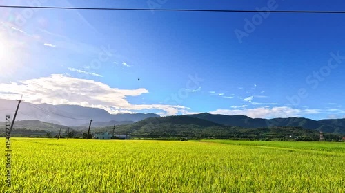 Car side window view of rice fields terrace farming plantation at sunrise in East Longitudinal Valley,Taiwan