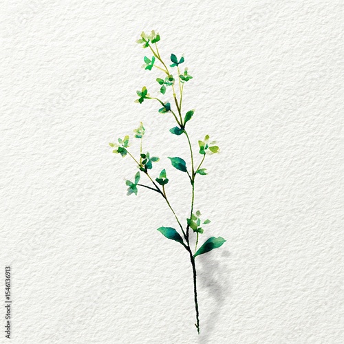 Simple watercolor painting of a single wildflower greenery stem, with a cute and dreamy aesthetic. Pastel colors on a white background