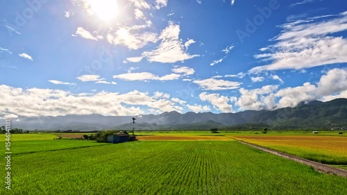 Car side window view of rice fields terrace farming plantation at sunrise in East Longitudinal Valley,Taiwan