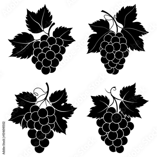 Four bunches of black grapes with leaves in a simple vector illustration design element isolated
