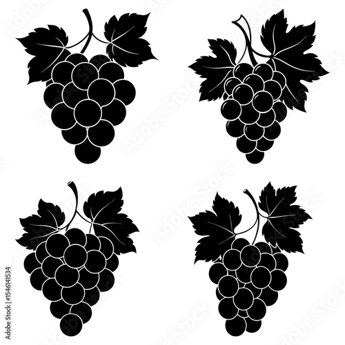 Four bunches of grapes with leaves in black and white vector illustration design element style drawing