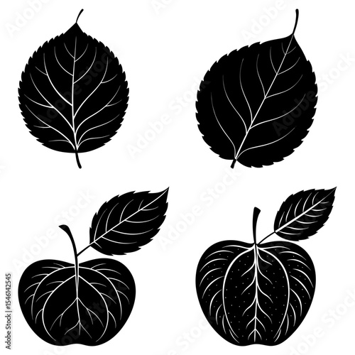 Black silhouette of apple fruits with leaves and separate leaves on a white background vector illustration